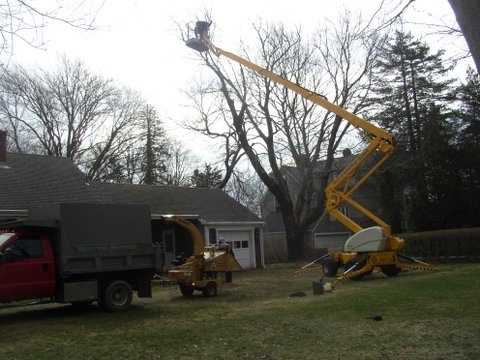 Fragosa Tree Services